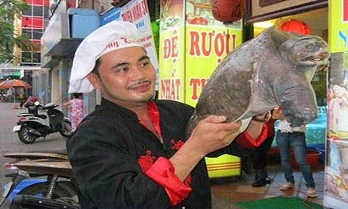 Hải Phòng: Đệ nhất ba ba Hồng Kông