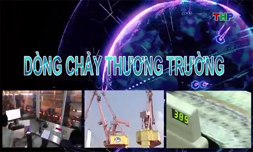 Thời sự Đài Truyền hình Hải Phòng đưa tin về Cộng Đồng Giá Quá Tốt
