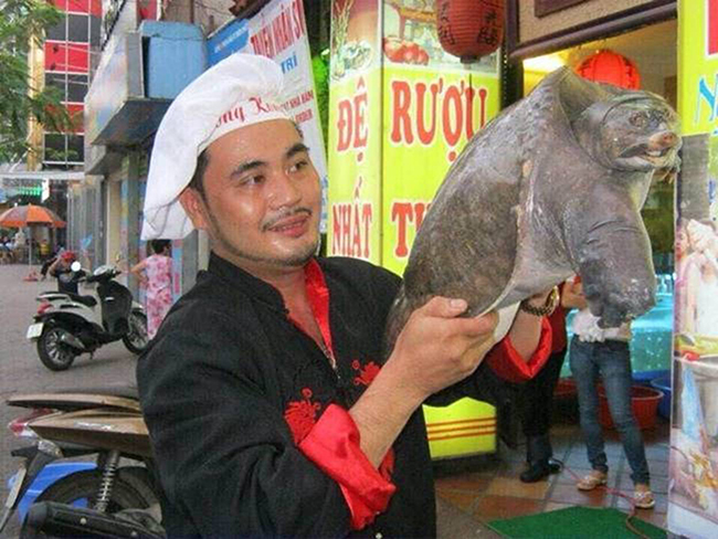 đệ nhất ba ba