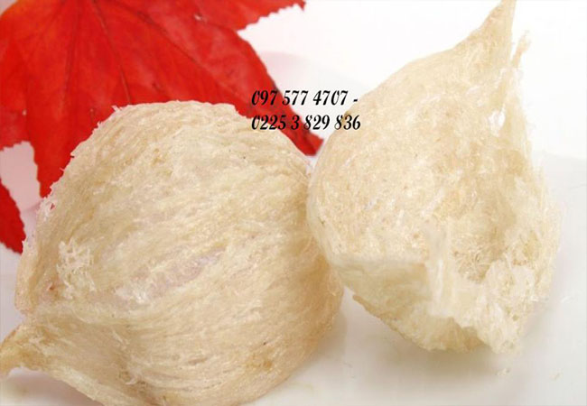 NestGia - Địa chỉ mua yến chưng 100% nguyên chất giá rẻ nhất
