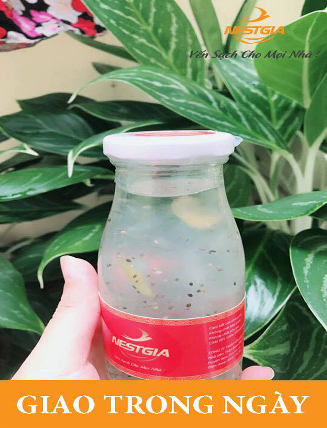 NestGia - Địa chỉ mua yến chưng 100% nguyên chất giá rẻ nhất